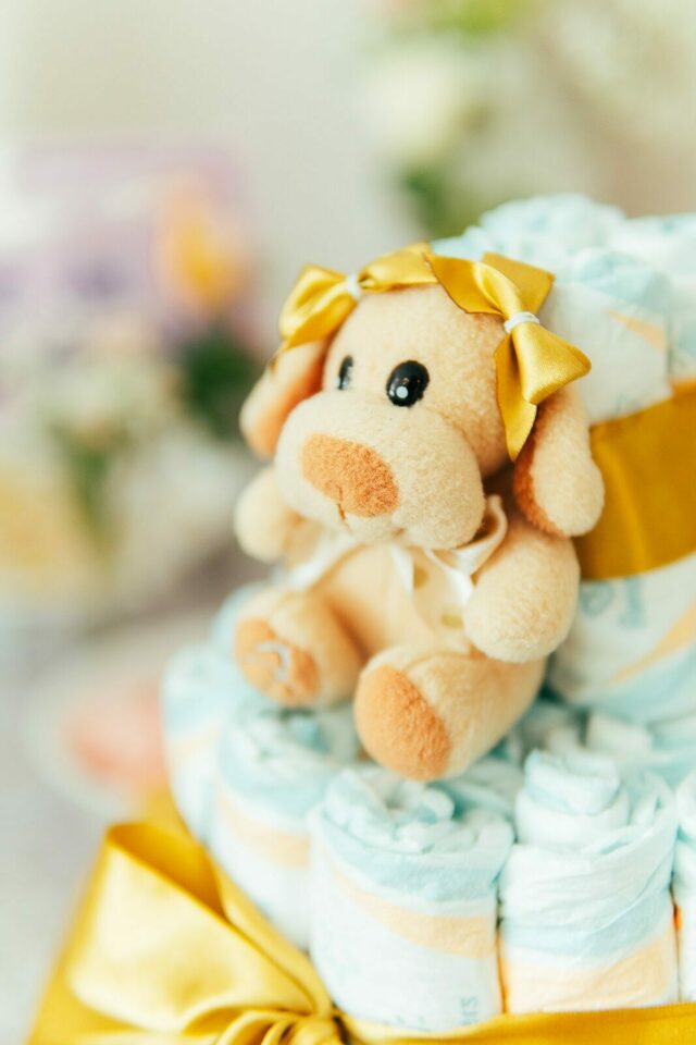 Chá de Fralda da Betina em Florianóplis